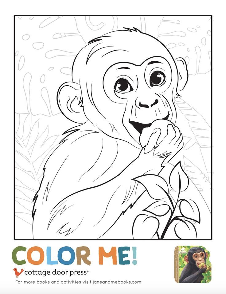 Free printable jane goodall chimpanzee coloring page from jane me chimpanzee book free coloring sheets flowery wallpaper free coloring