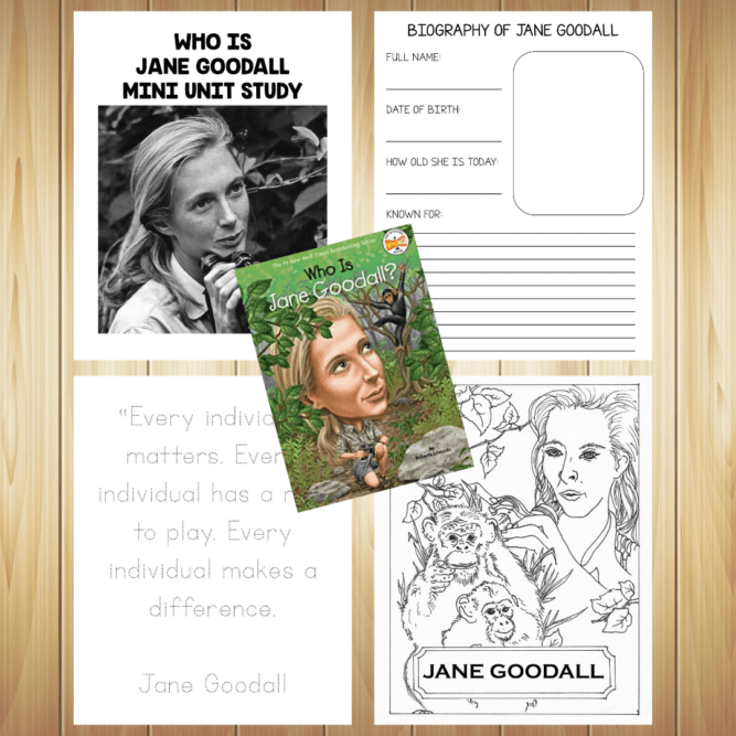 Jane goodall