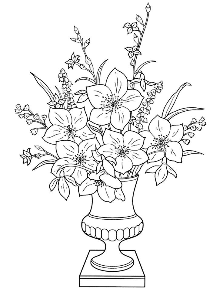 Error de la base de datos pãginas para colorear de flor florero dibujo pãginas para colorear imprimibl para adultos