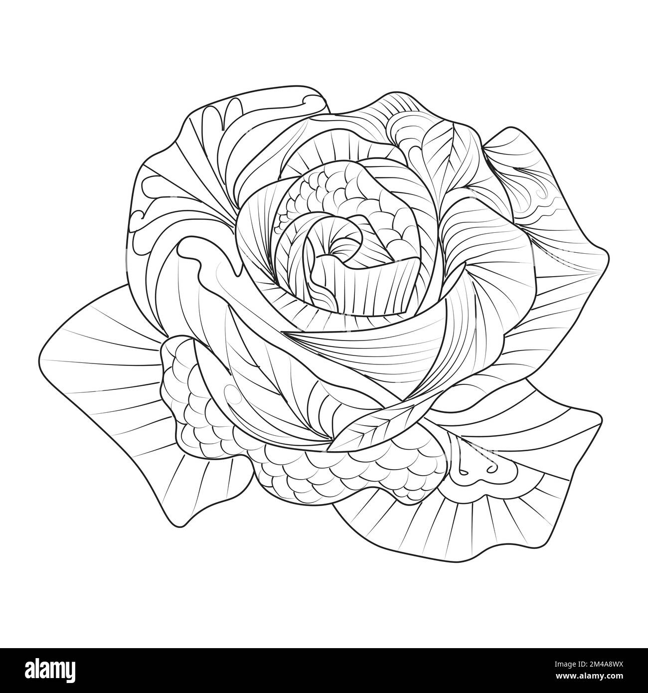 Pãgina para colorear de zentangle rosa de flor con ilustraciãn de diseão de bocetos fãcil decorativos imagen vector de stock