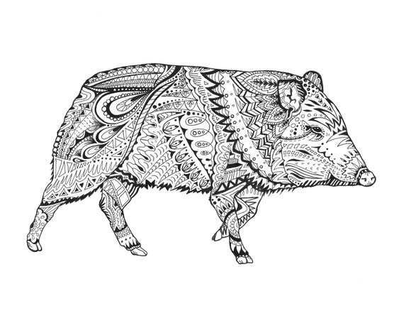 Javelina make way x print desert animal series wildlife