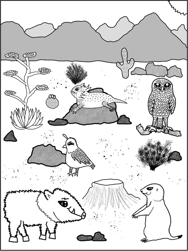 Coloring pages