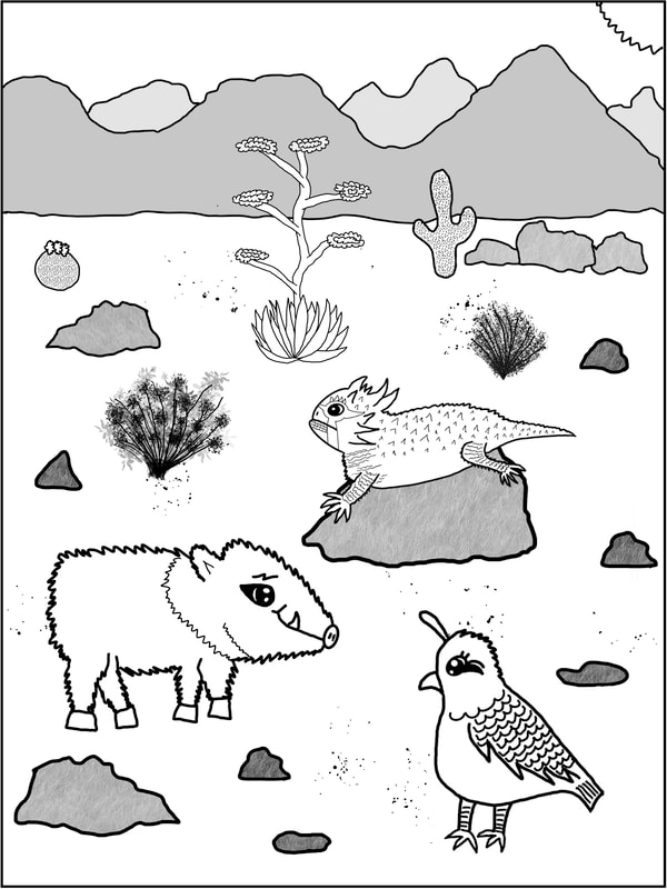 Coloring pages