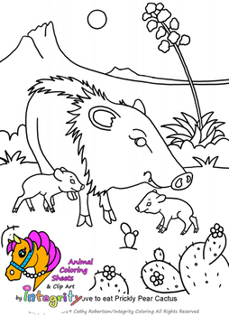 Desert animals coloring pages