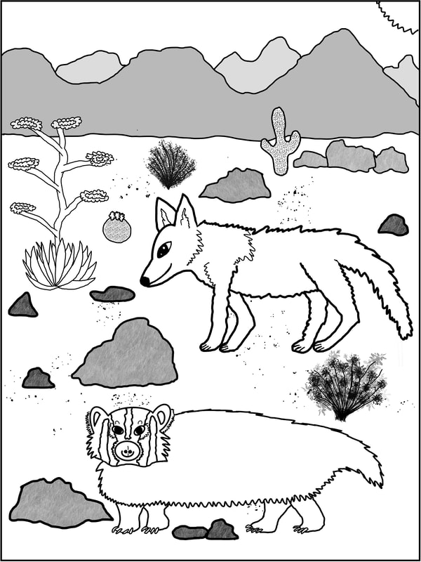 Coloring pages