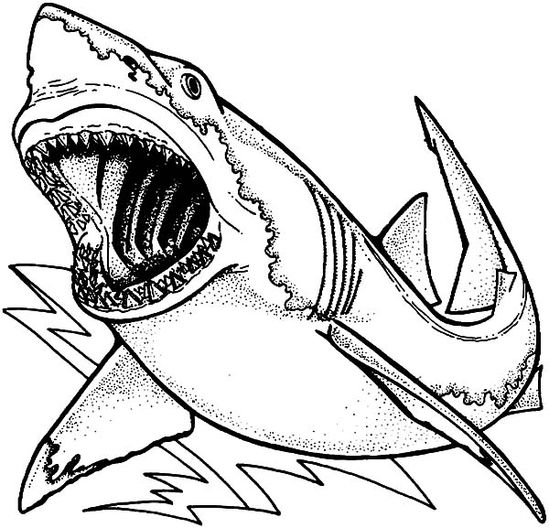 Jaws coloring pages eas coloring pages coloring pictures coloring pages for ks
