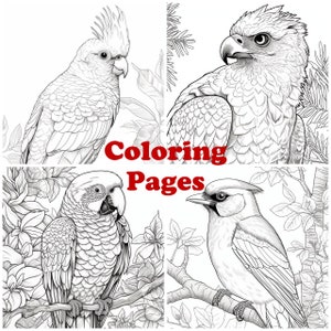 Jay coloring page