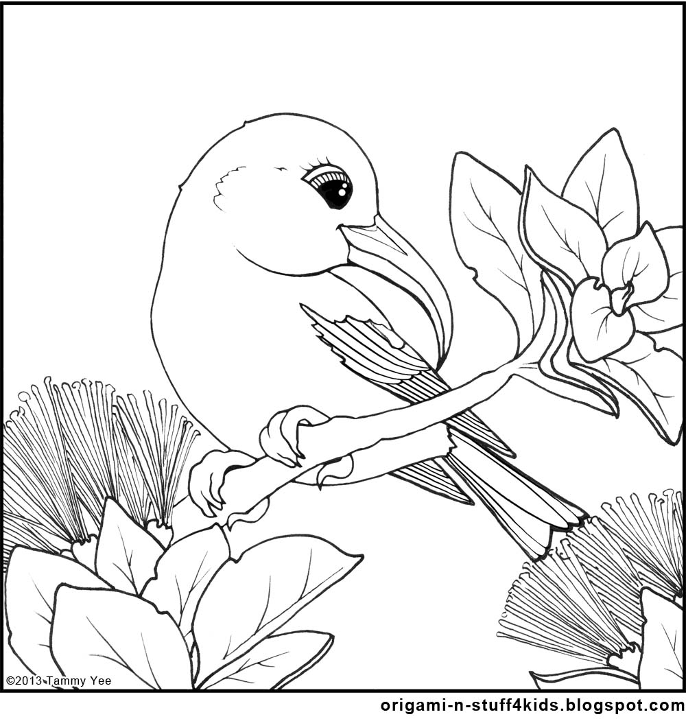 Origami n stuff kids coloring hawaiian honeycreeper iiwi
