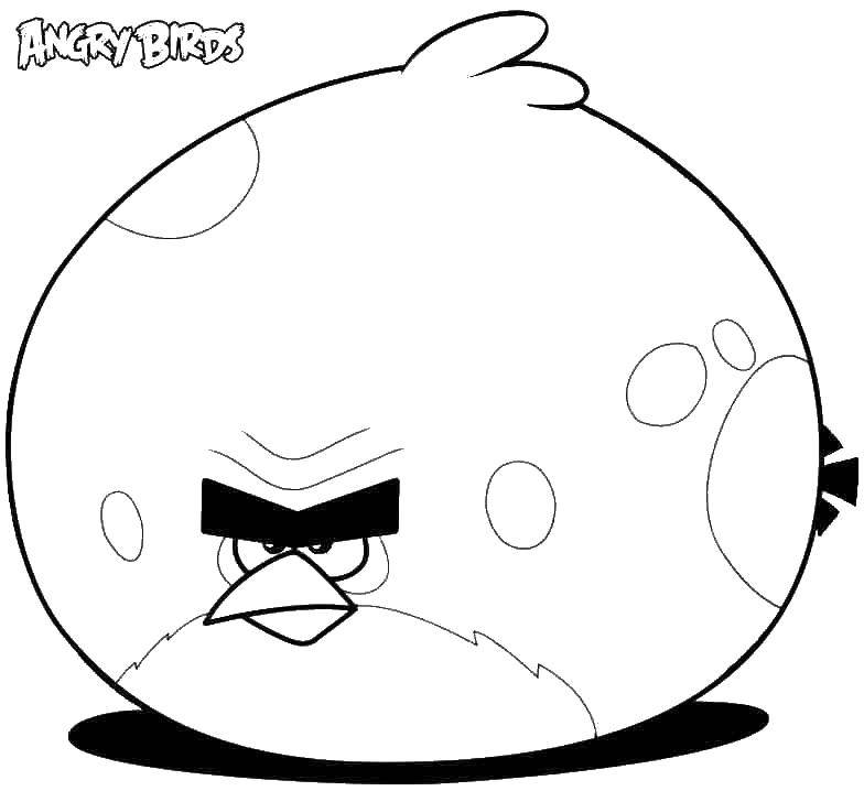 Online coloring pages bird coloring big bird angry birds