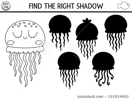 Under the sea black and white shadow matching