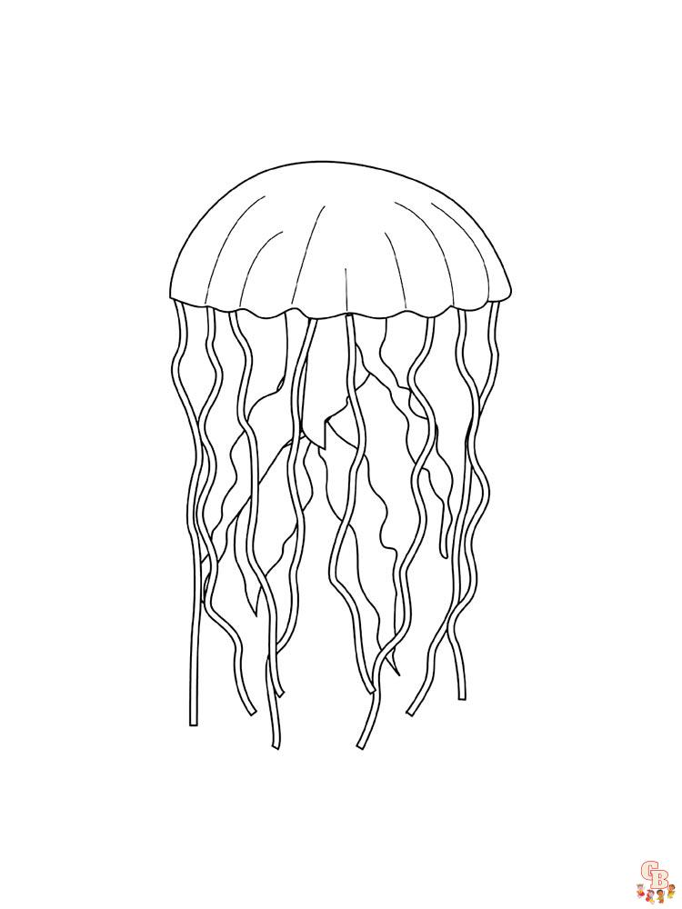 Jelly fish coloring pages free printable
