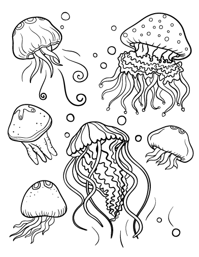 Image result for jellyfish coloring page animal coloring pages fish coloring page coloring pages