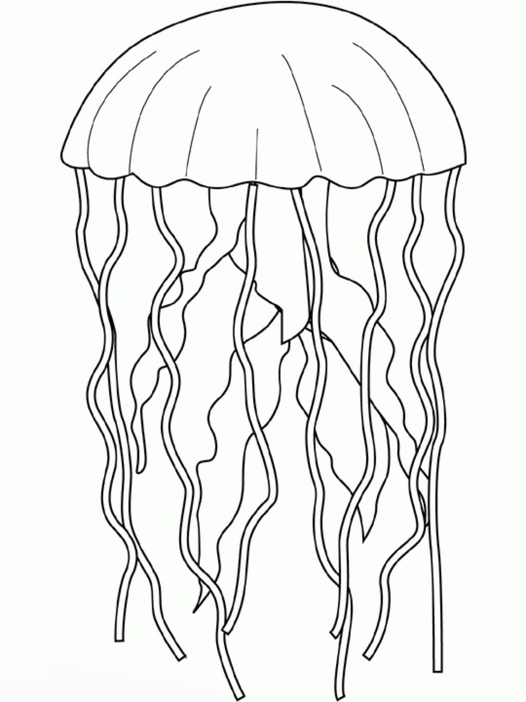 Coloring pages on x coloring pages of jelly fish httpstcolziqxejcn httpstcojumgbey x
