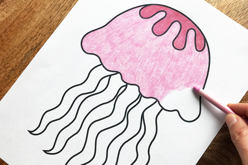 Jellyfish free printable templates coloring pages