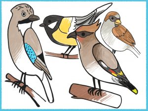 Winter coloring pages for kids with birds amax kids