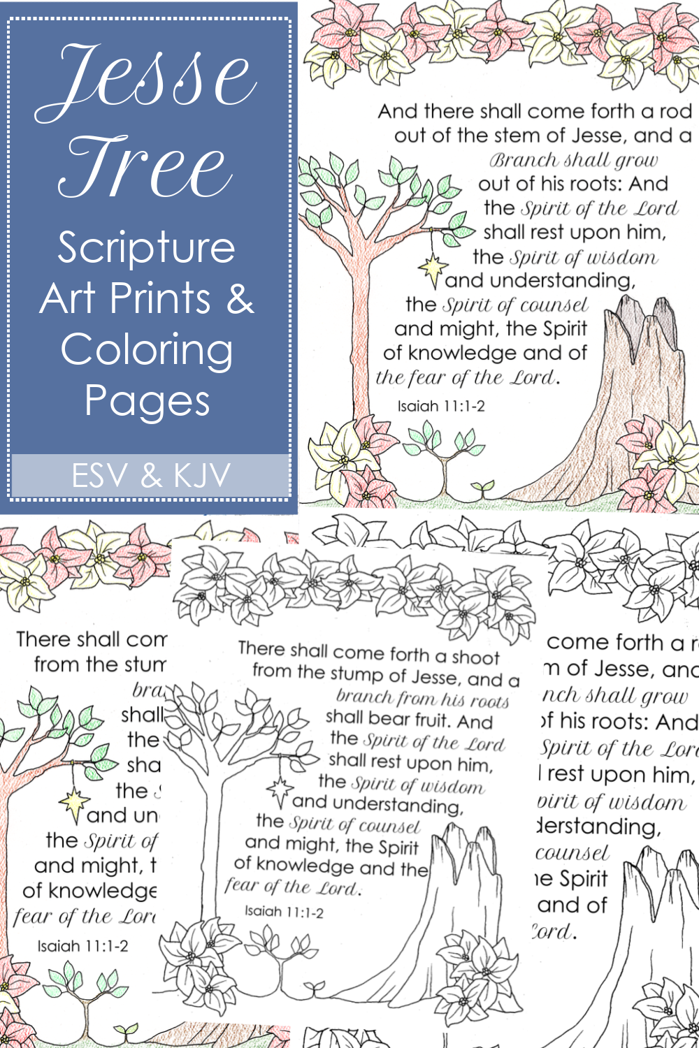 Jesse tree scripture printable poster coloring page