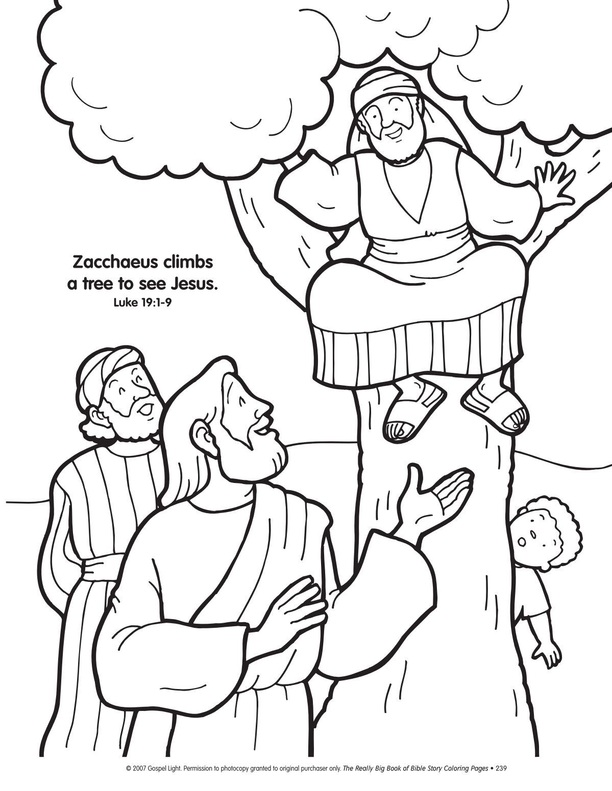 Zacchaeus climbs a tree to see jesus