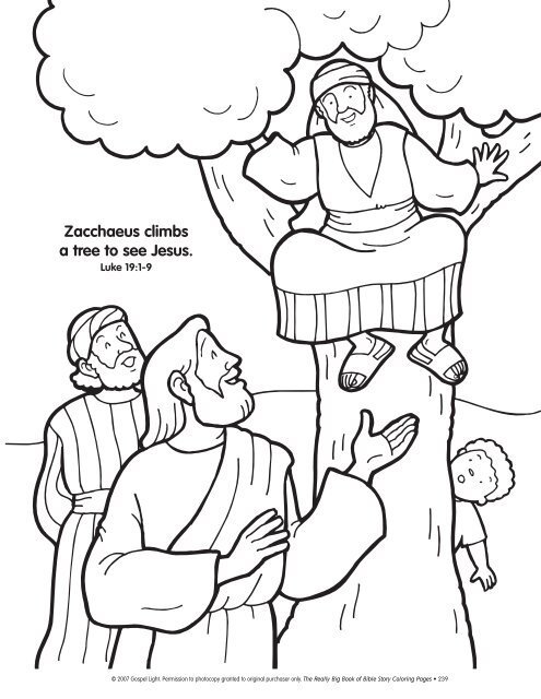 Zacchaeus climbs a tree to see jesus