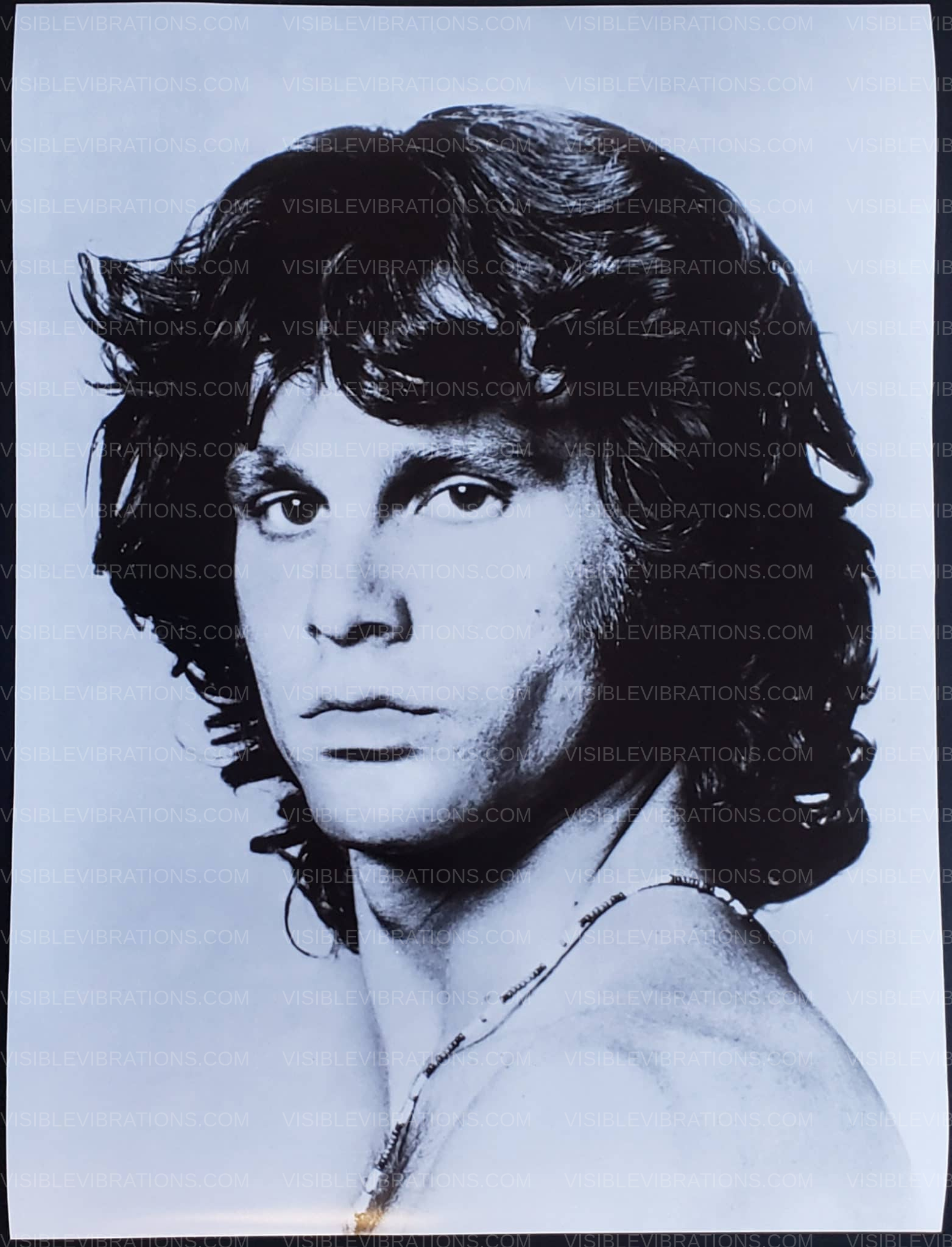 Jim morrison photo young lion visible vibrations
