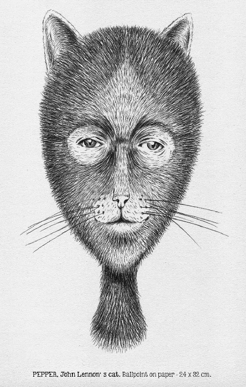 Pepper john lennons cat ballpoint on paper