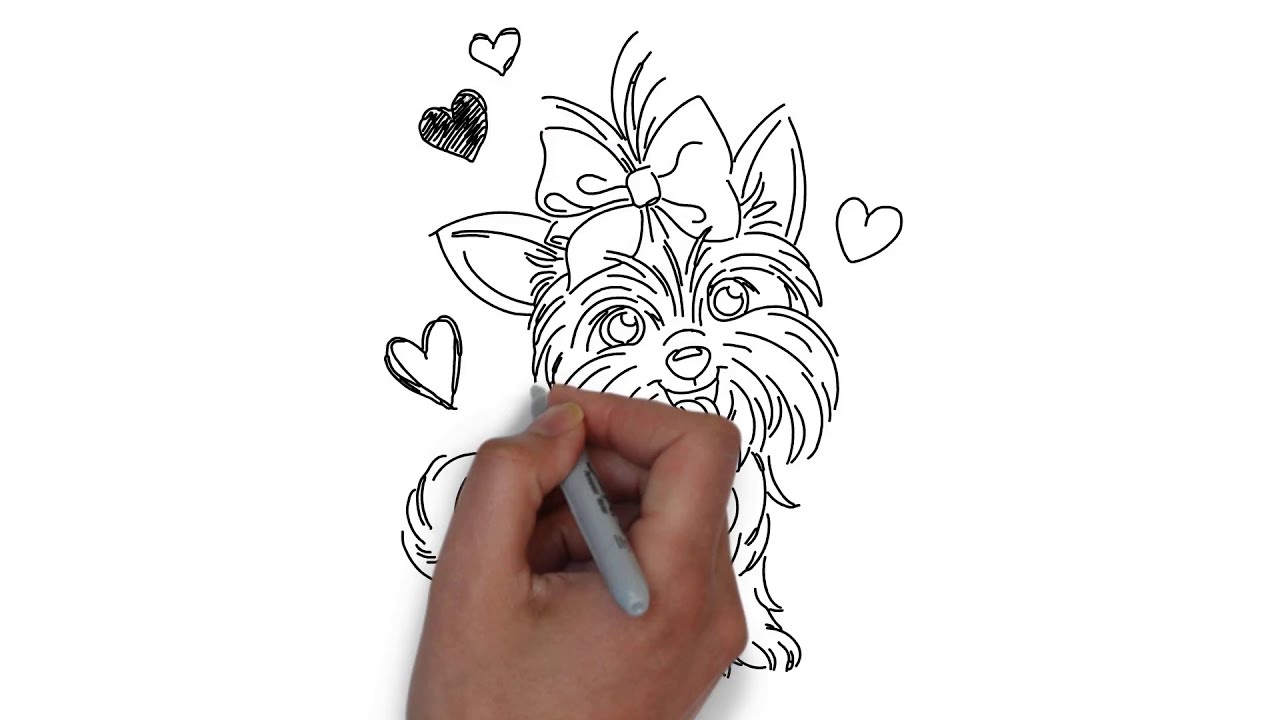 How to draw jojo siwa dog bowbow step by step video tutorial