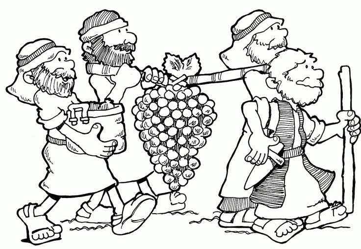 Joshua and caleb bible story coloring page bible crafts sunday school sunday school coloring pages joshua and caleb