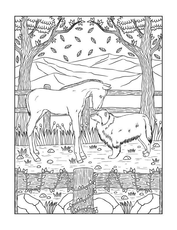 The morgan horse coloring book â willow bend publishing