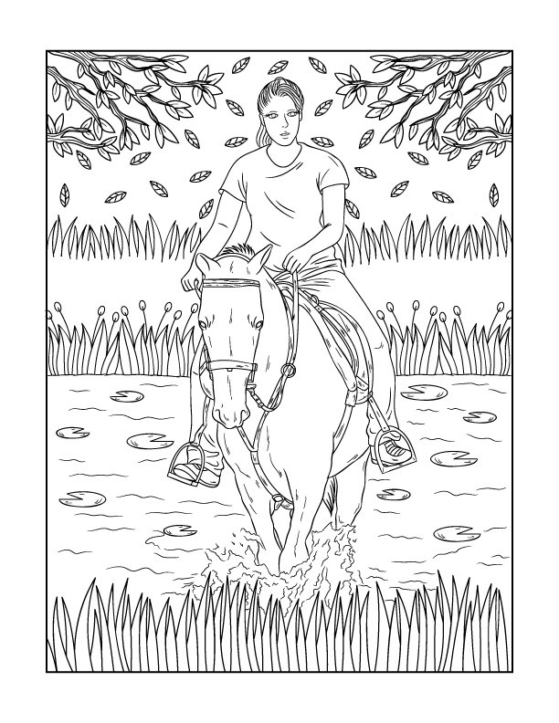 The morgan horse coloring book â willow bend publishing