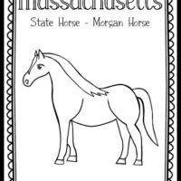 Horses â the art kit