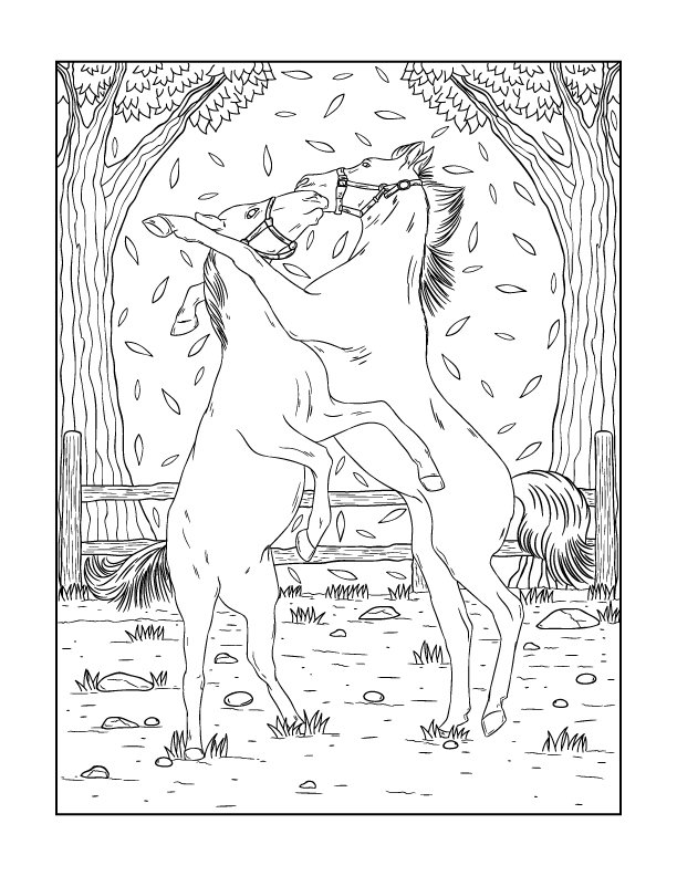 The morgan horse coloring book â willow bend publishing