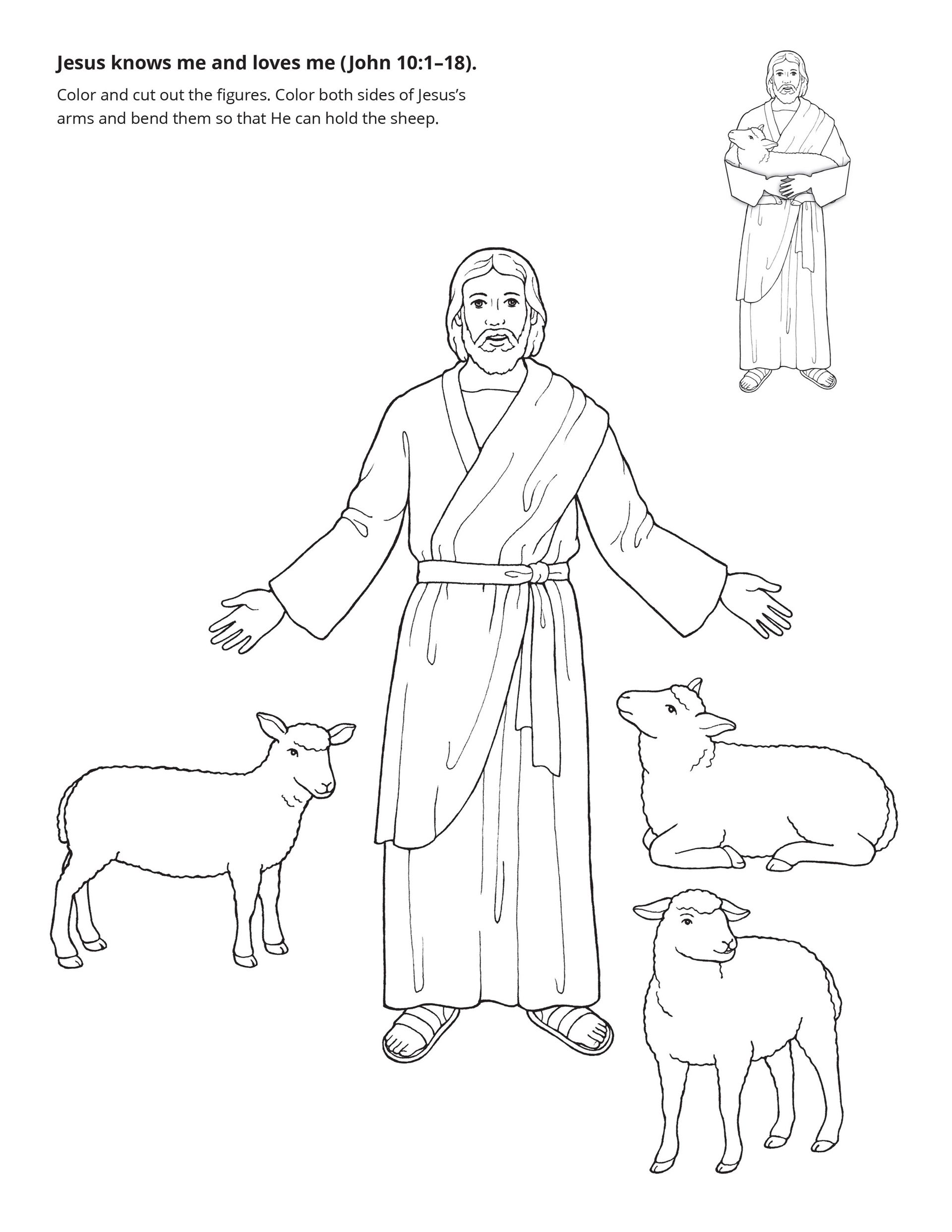 Lost sheep