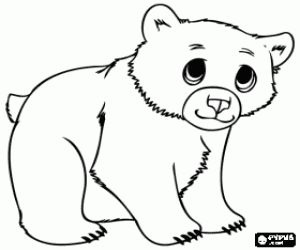 Juegos de osos para colorear imprimir y pintar oso para pintar animalitos para colorear mamiferos para dibujar
