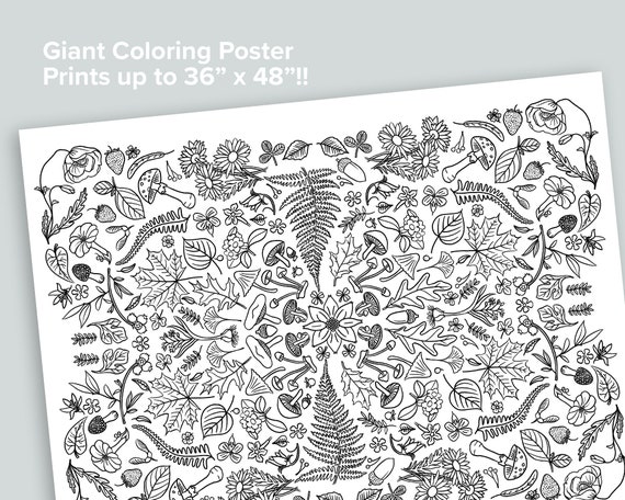 Giant nature coloring poster homeschool printables black and white large coloring pages fern mushroom flower bees moth botany
