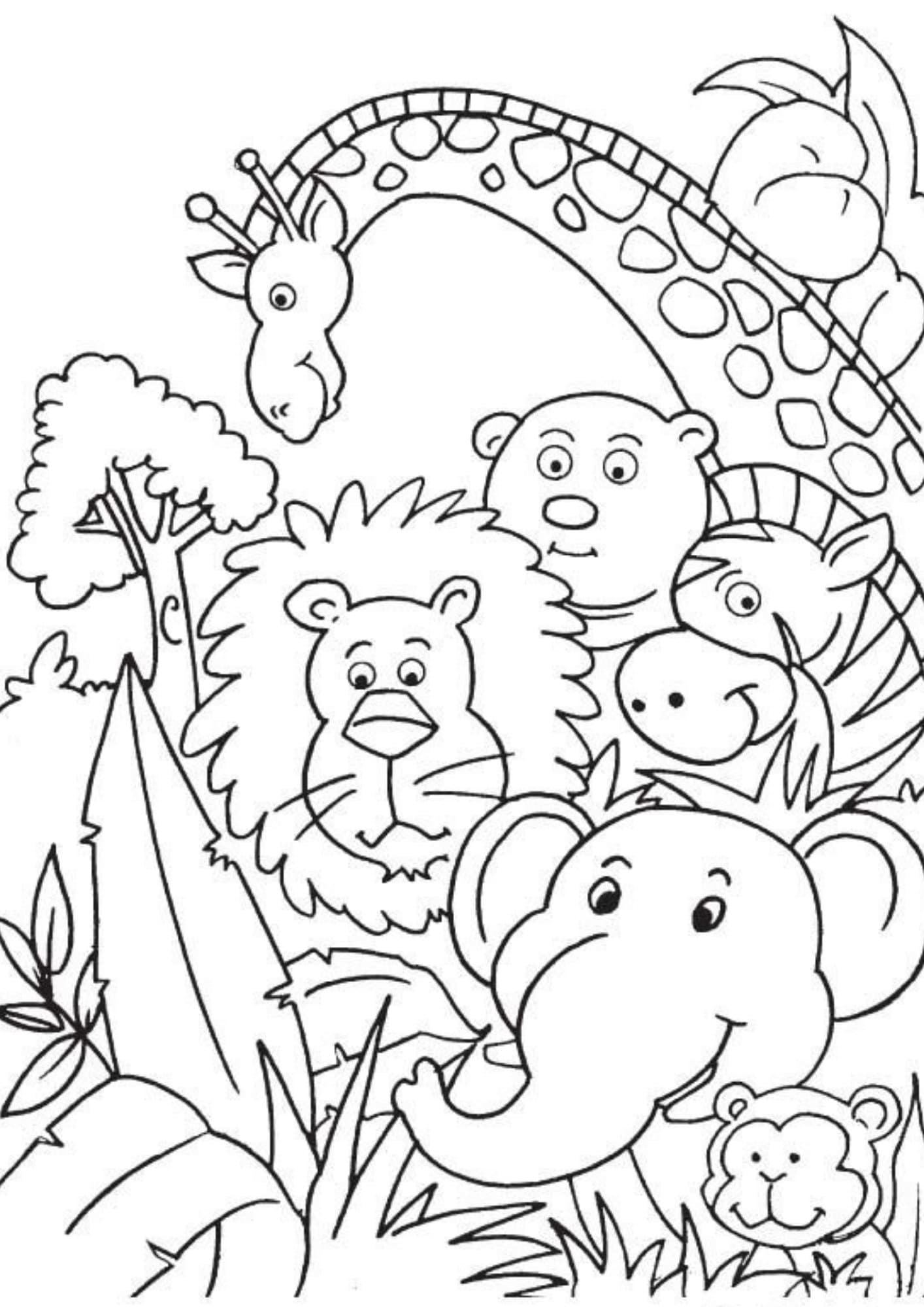 Jungle animal colouring book amazing colouring book for kids and adults gift for any animal fan pages kids birthday download now