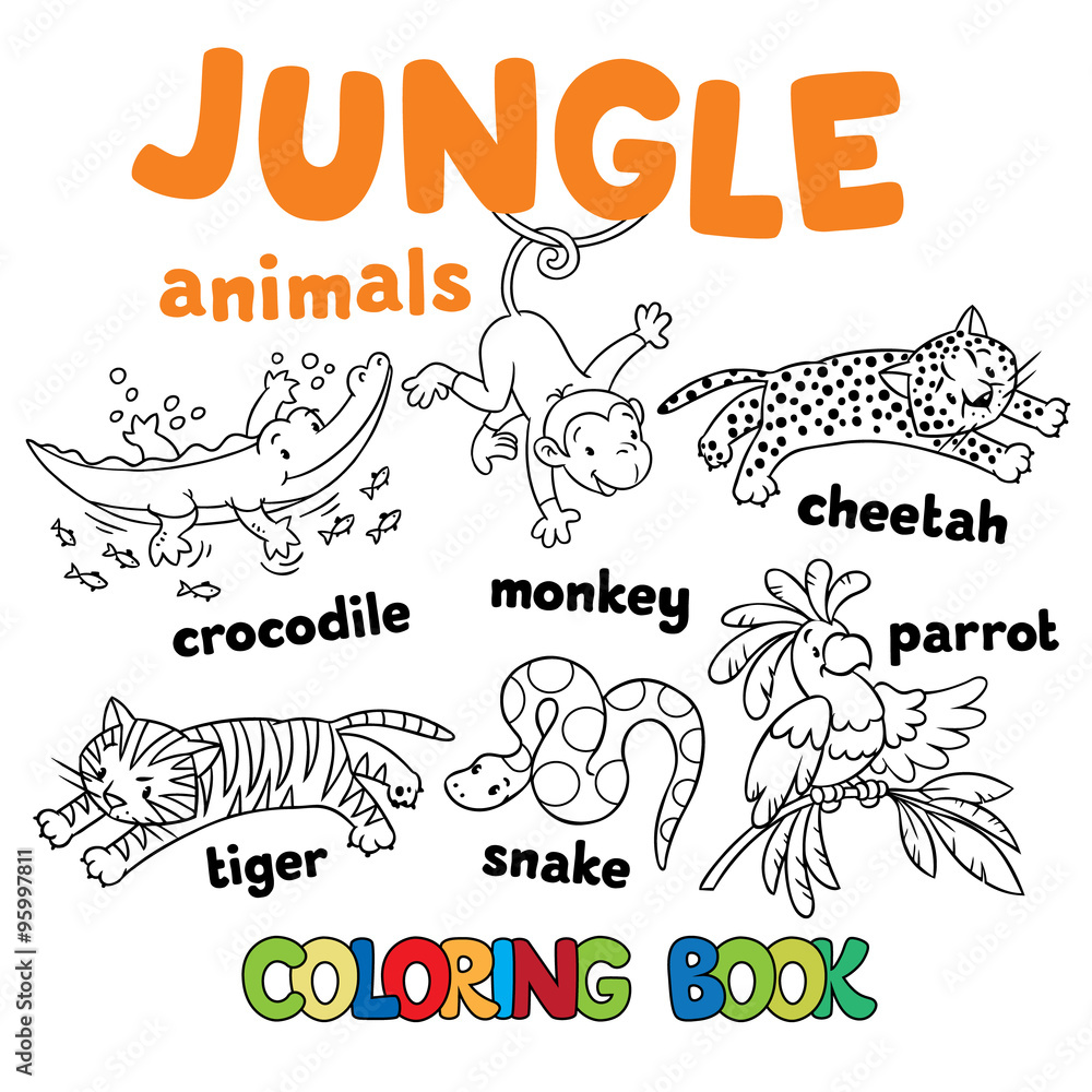 Set of funny jungle animals coloring book vector
