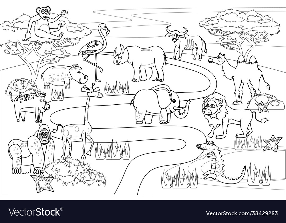 Jungle africa safari animals coloring book vector image