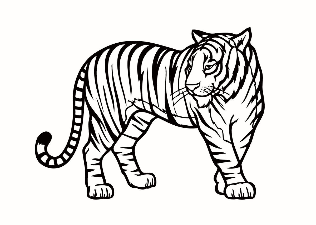 Jungle animal coloring pages jungle animals coloring pages to print free coloring pages