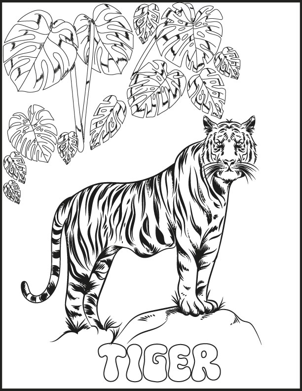 Safari animals coloring pages