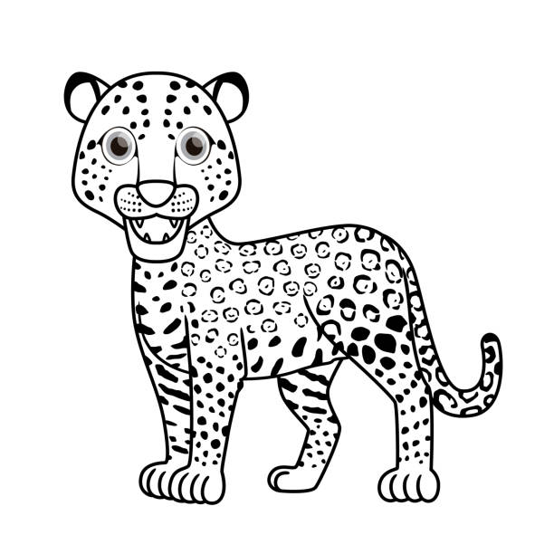 Jaguar in jungle book stock illustrations royalty