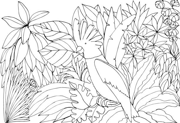 The jungle book stock illustrations royalty