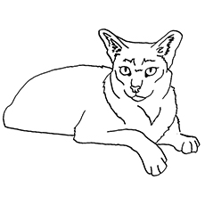 Top free printable jungle animals coloring pages online