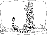 Big cats and wild cats coloring pages and printable activities