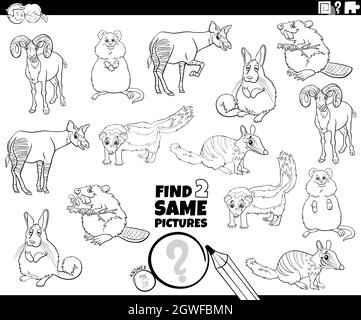 Puzzle and coloring activity page with wild cats word search puzzle english and wide decorative frame to color answer included stock vector image art