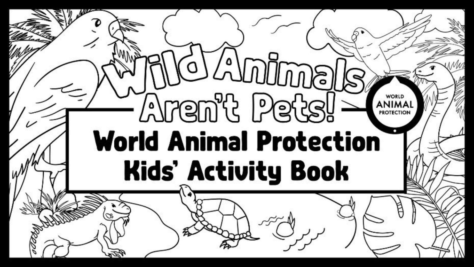 New activity book teaches kids to respect wild animals