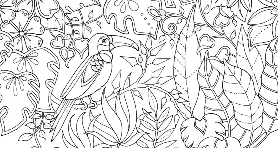 Magical jungle colouring petition