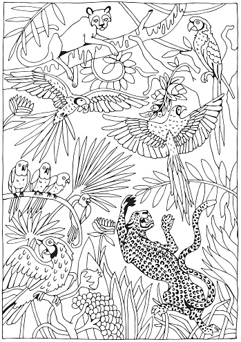 Leopards and parrots in the jungle stock illustration