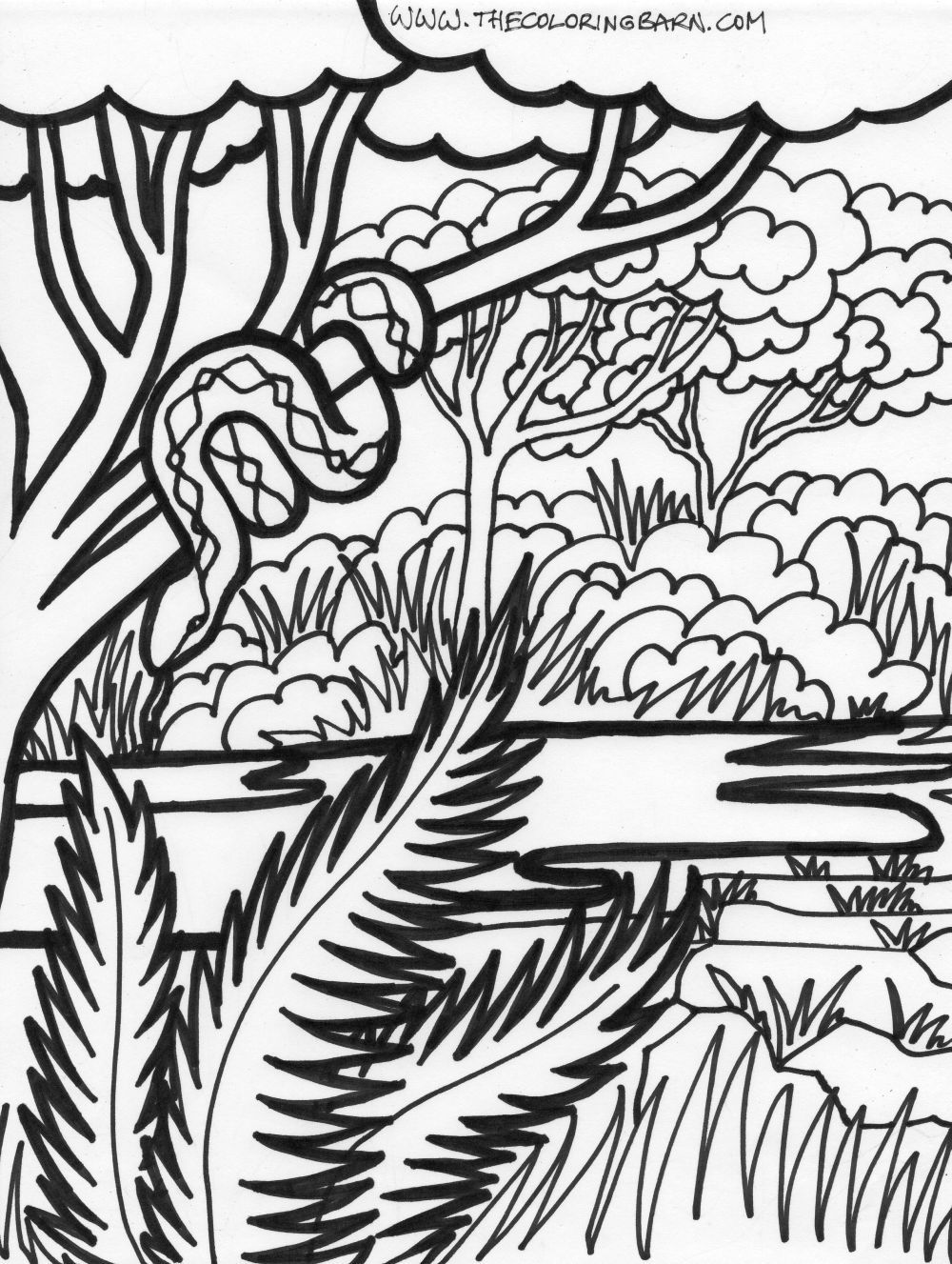 Jungle coloring sheets coloring page jungle scene coloring page jungle snake coloring page â snake coloring pages jungle coloring pages animal coloring pages