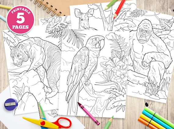 Printable digital coloring pages for kids jungle animals unique illustrations digital print nature pdf tropical forest wildlife
