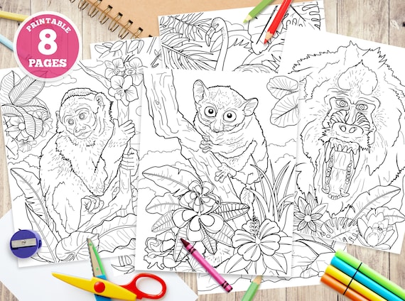 Printable digital coloring pages for kids jungle animals unique illustrations rainforest animal woodland life nature download pdf