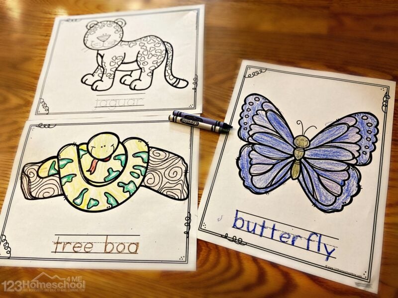Ðfree free printable jungle animal coloring pages pdf